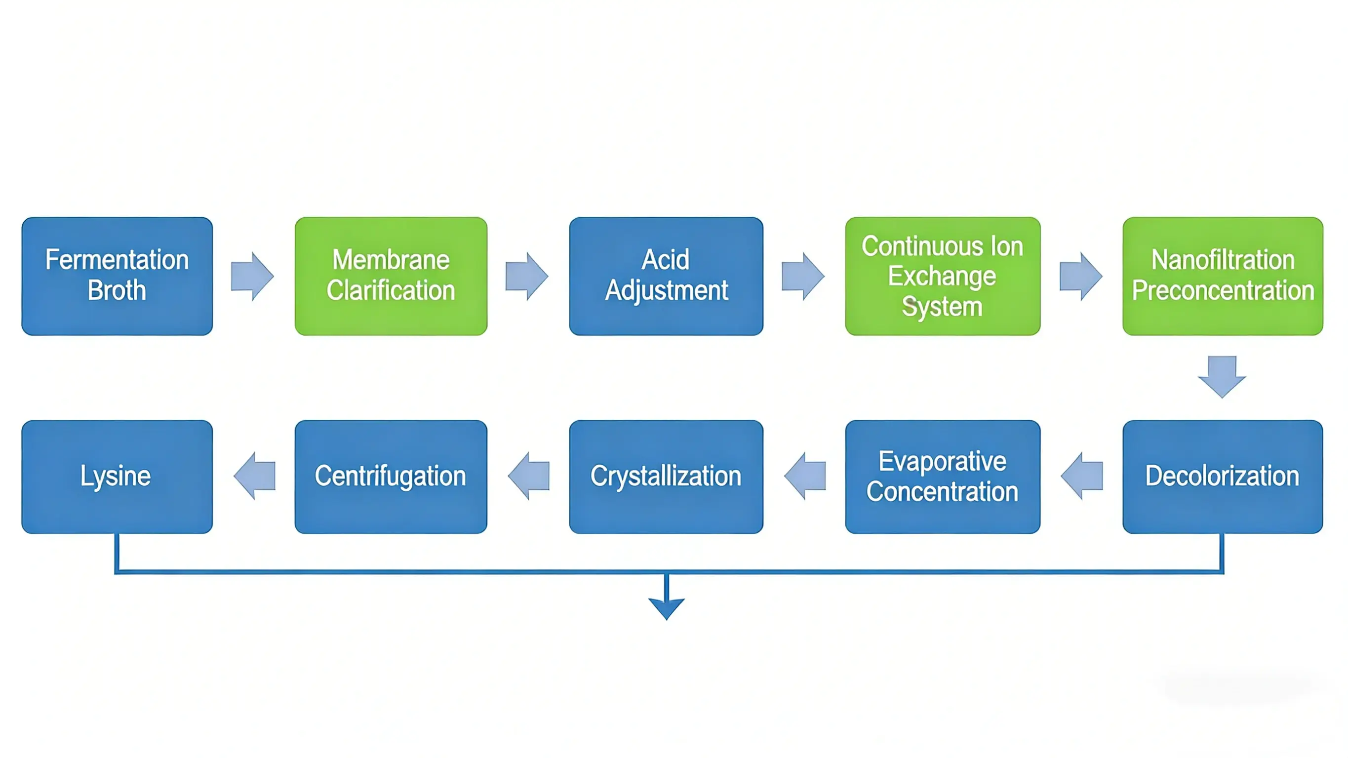 Production Process Production Process