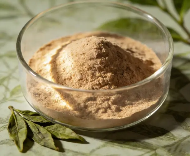 Tea polyphenol extract powder 