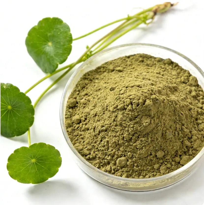 Hydrocotyle asiatica extract powder Hydrocotyle asiatica extract powder