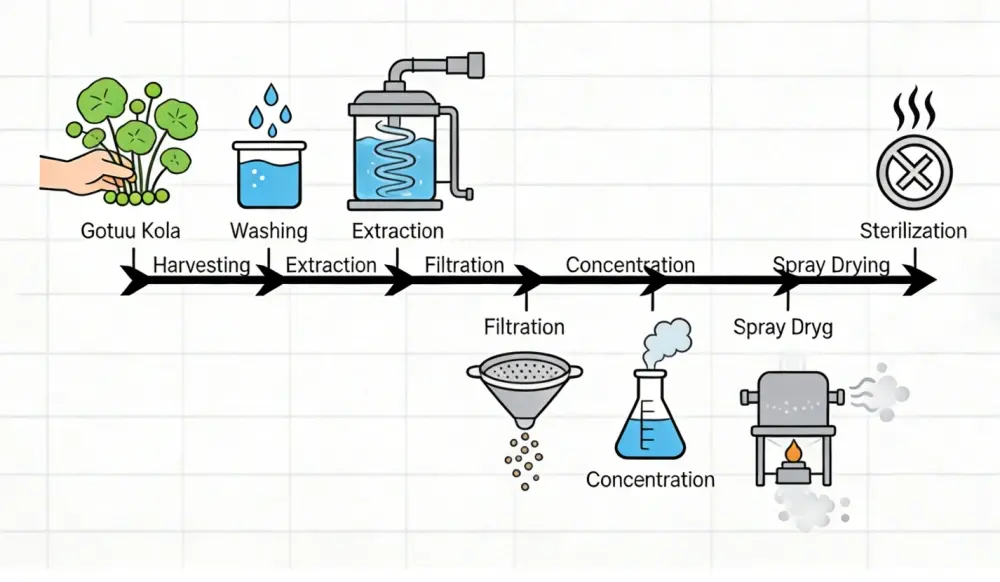 Production Process