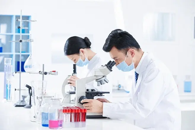 Excellent and professional technical team