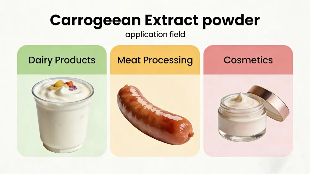 The wide range of applications of carrageenan The wide range of applications of carrageenan