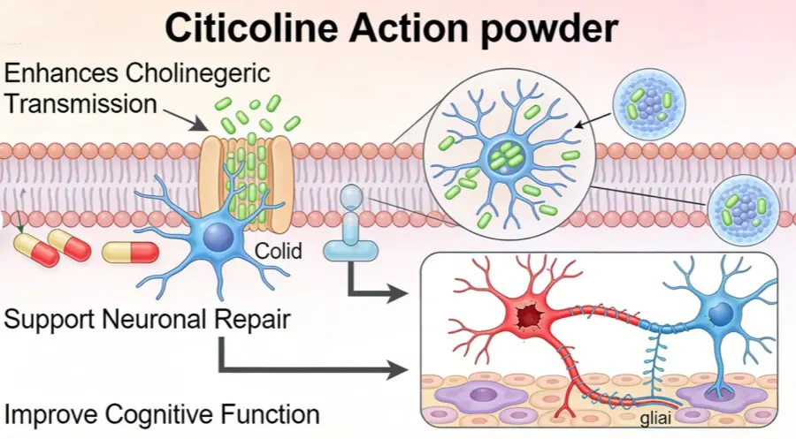 Function introduction Function introduction