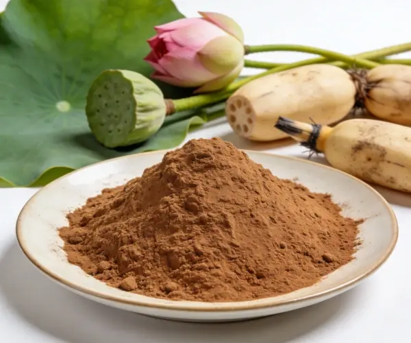 lotus leaf extract lotus leaf extract