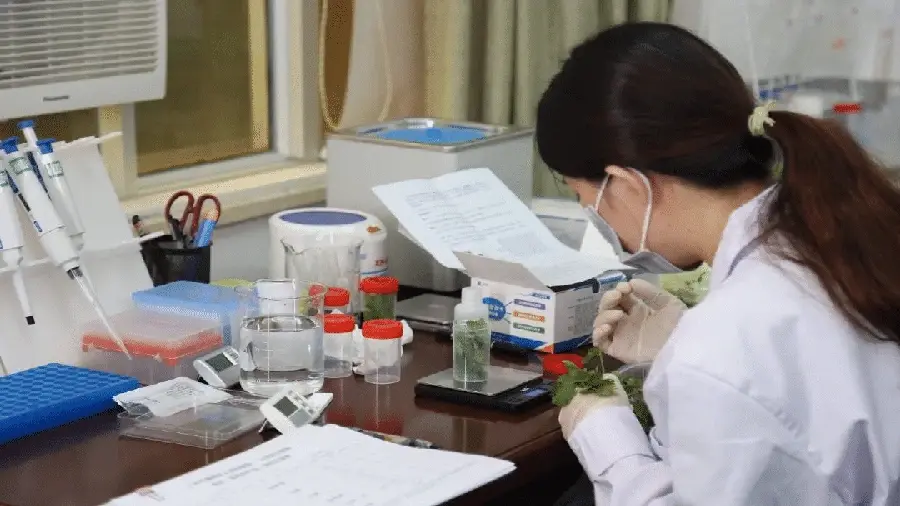 Professional technical experts