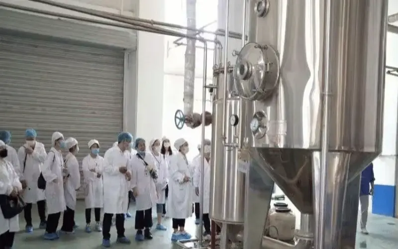 Cultivate and guide new talents