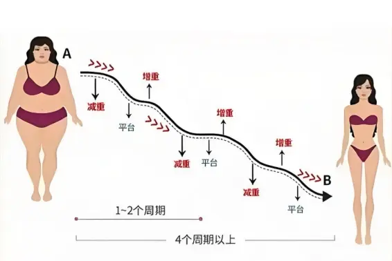 The effects of sibutramine The effects of sibutramine