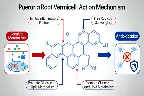 How white kidney bean extract works How white kidney bean extract works