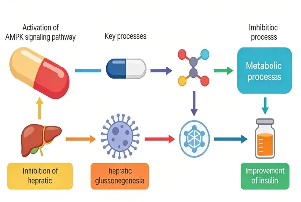 Principle of action Principle of action