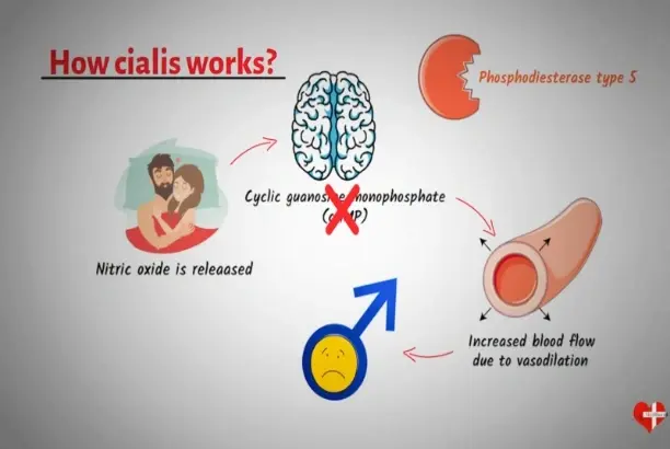Why you trust Tadalafil Why you trust Tadalafil