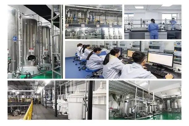 modern GMP facilities 