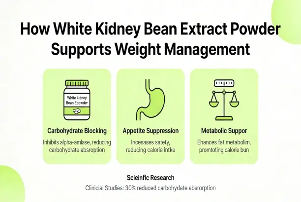 Weight Management Weight Management