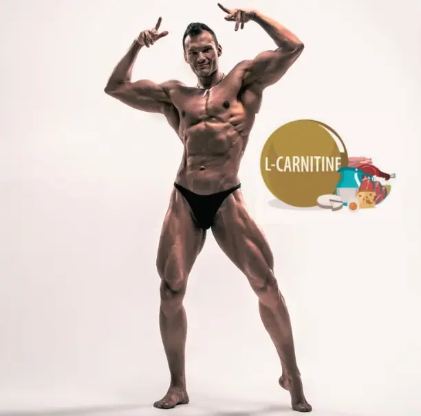 L-Carnitine effect