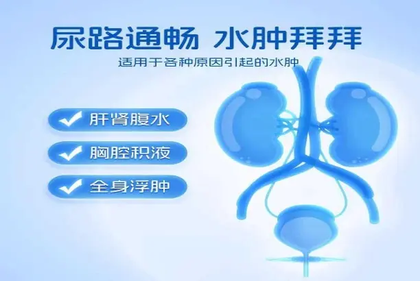 furosemide furosemide