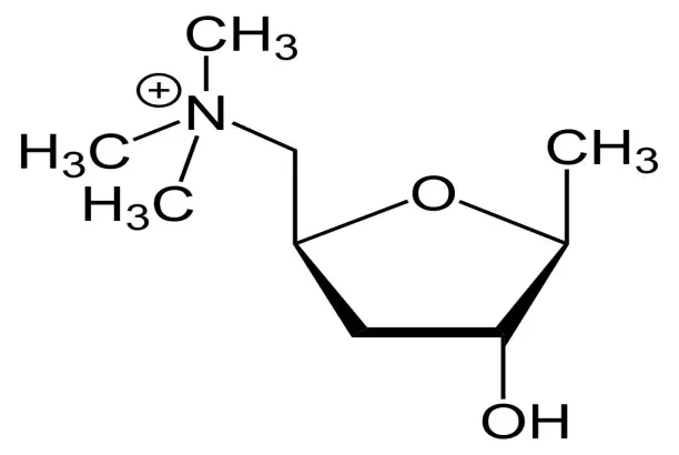 Molecular formula