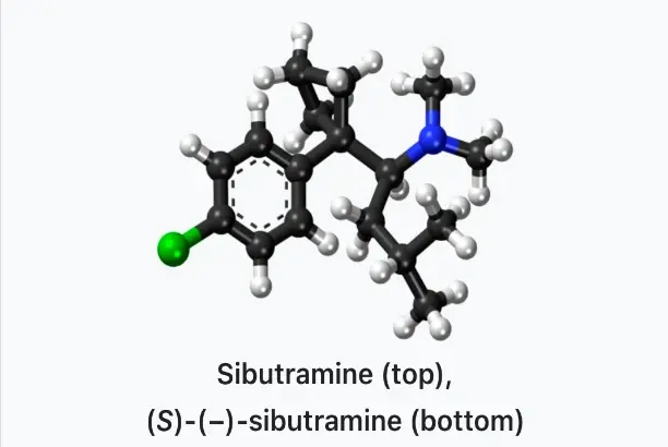 sibutramine sibutramine