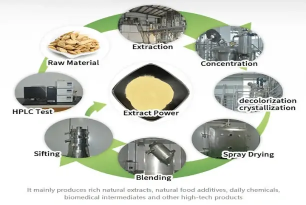 Manufacturing Process Manufacturing Process