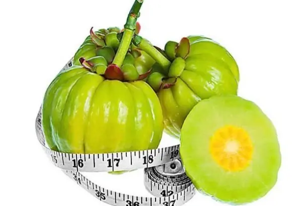 Garcinia Cambogia Garcinia Cambogia