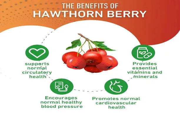 Key Benefits Key Benefits