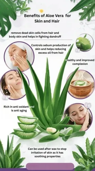 Composition and Benefits Composition and Benefits