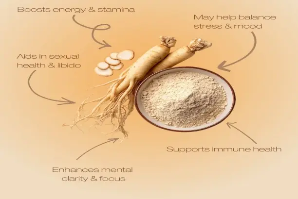 Ginseng Extract Powder Ginseng Extract Powder