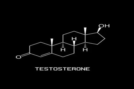 Molecular formula Molecular formula