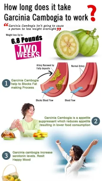 Garcinia Cambogia Extract Powder