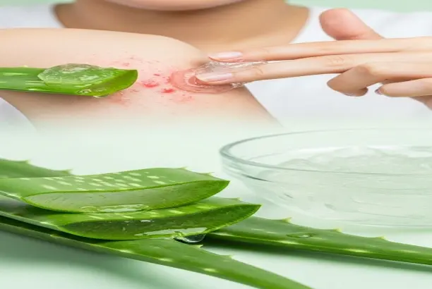 Aloe vera extract powder