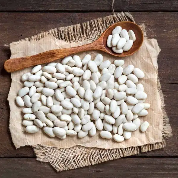 White kidney bean extract powder