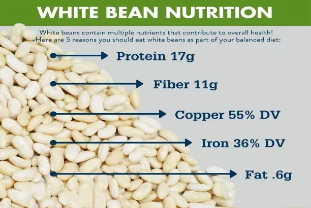 White kidney bean extract powder