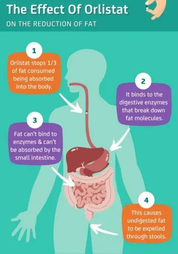 Orlistat Powder Orlistat Powder