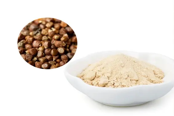 Paradise Pepper extract-1 Paradise Pepper extract-1