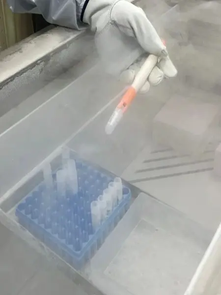laboratory laboratory