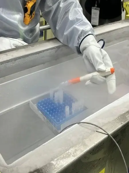 our laboratory