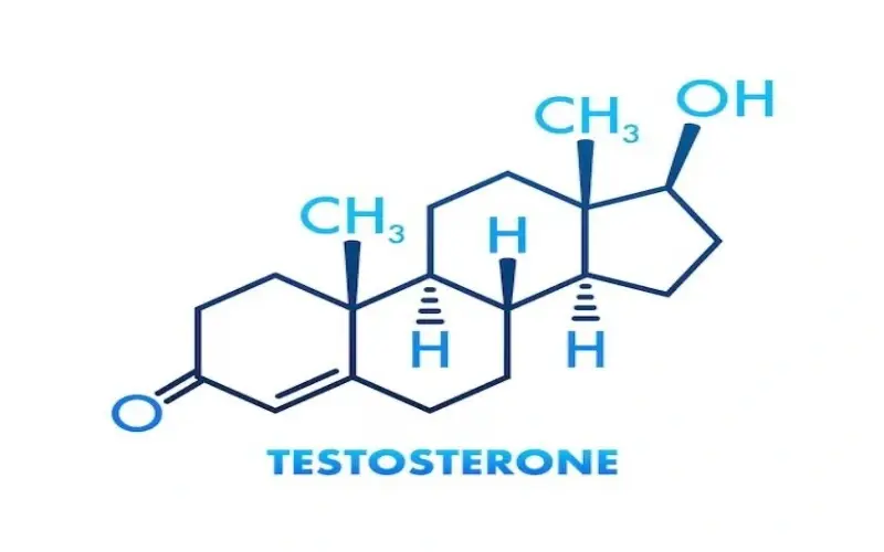 Testosterone enanthate molecular formula