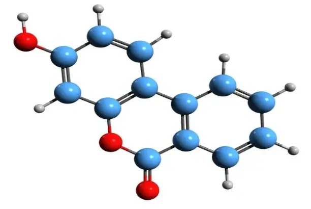 Formulation
