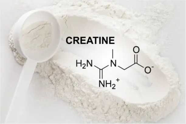 Creatine Bulk Powder Creatine Bulk Powder