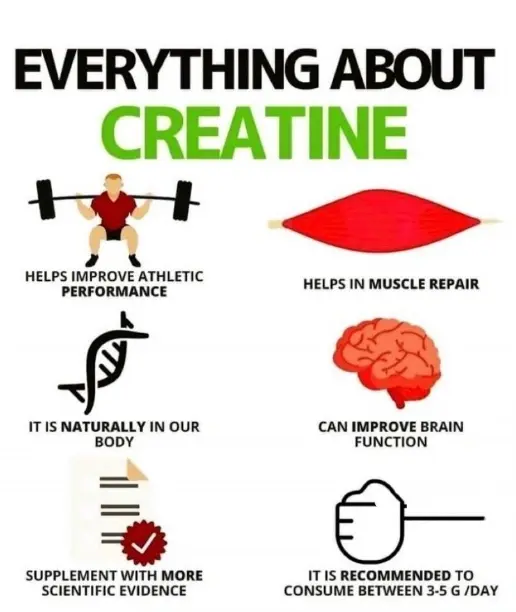 Creatine Bulk Powder Creatine Bulk Powder