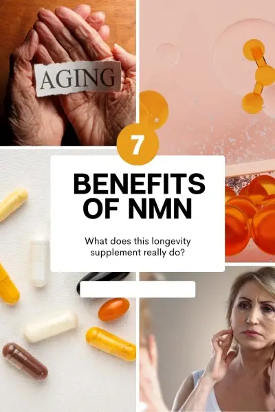 Nicotinamide Riboside Bulk Powder Nicotinamide Riboside Bulk Powder
