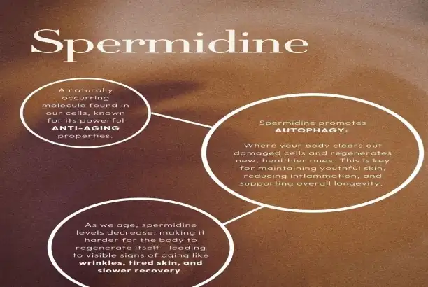 Spermidine Powder Spermidine Powder