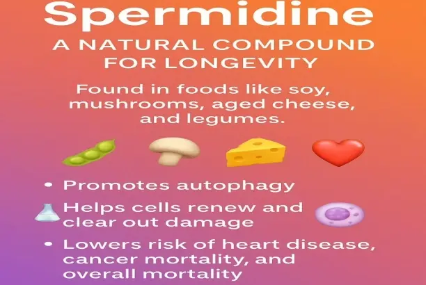 Spermidine Powder Spermidine Powder