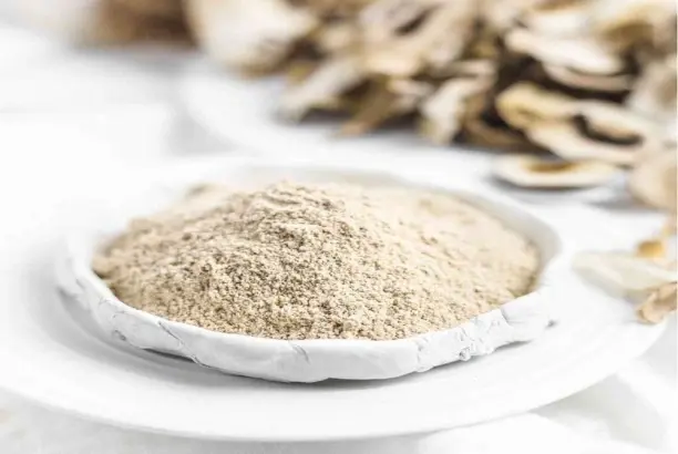 oyster powder