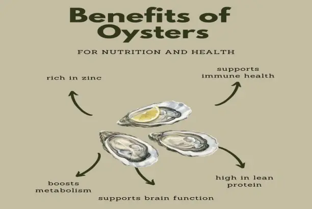 Oyster Extract Powder Oyster Extract Powder