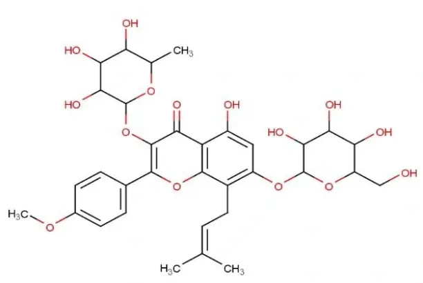 Epimedium Powder Epimedium Powder