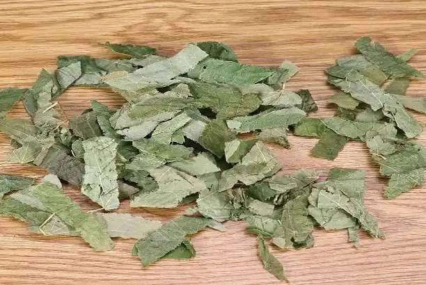 Epimedium Powder