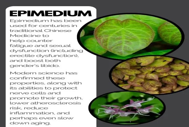 Epimedium Extract