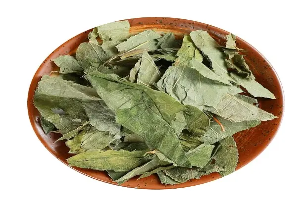 Epimedium Extract