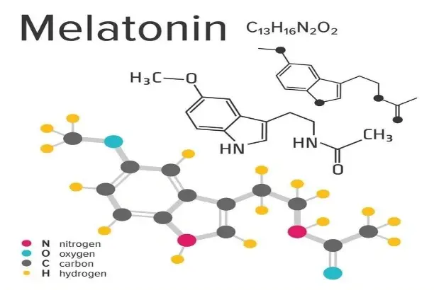 Melatonin Bulk Powder