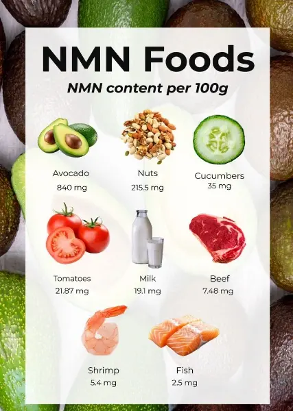 NMN Bulk Powder
