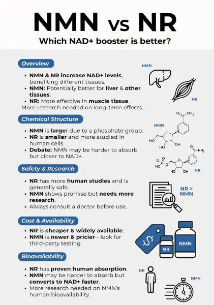 NMN Bulk Powder NMN Bulk Powder